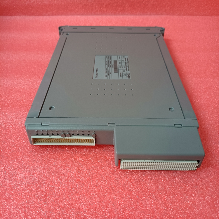 T8480C (5).jpg