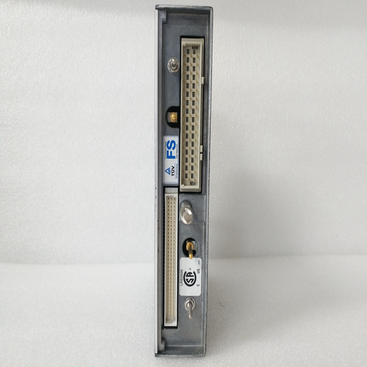 TRICONEX 3381 (4).jpg
