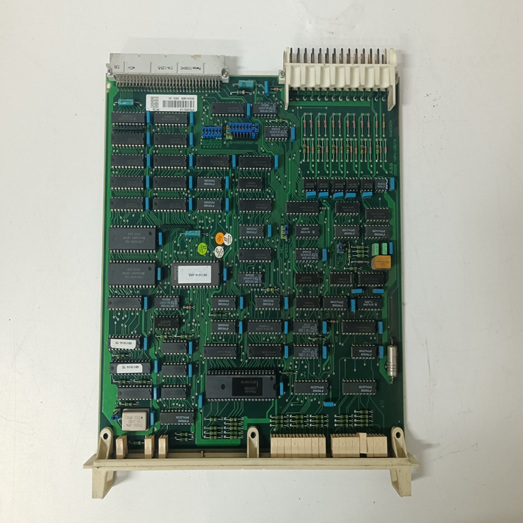 DSCS131 57310001-LM (2).jpg