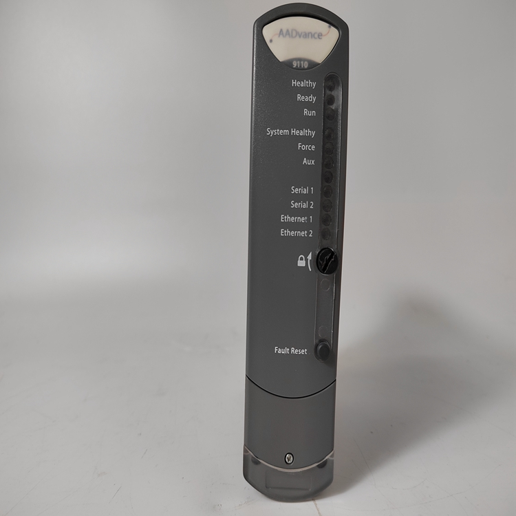 ICS TRIPLEX T9110 卡件