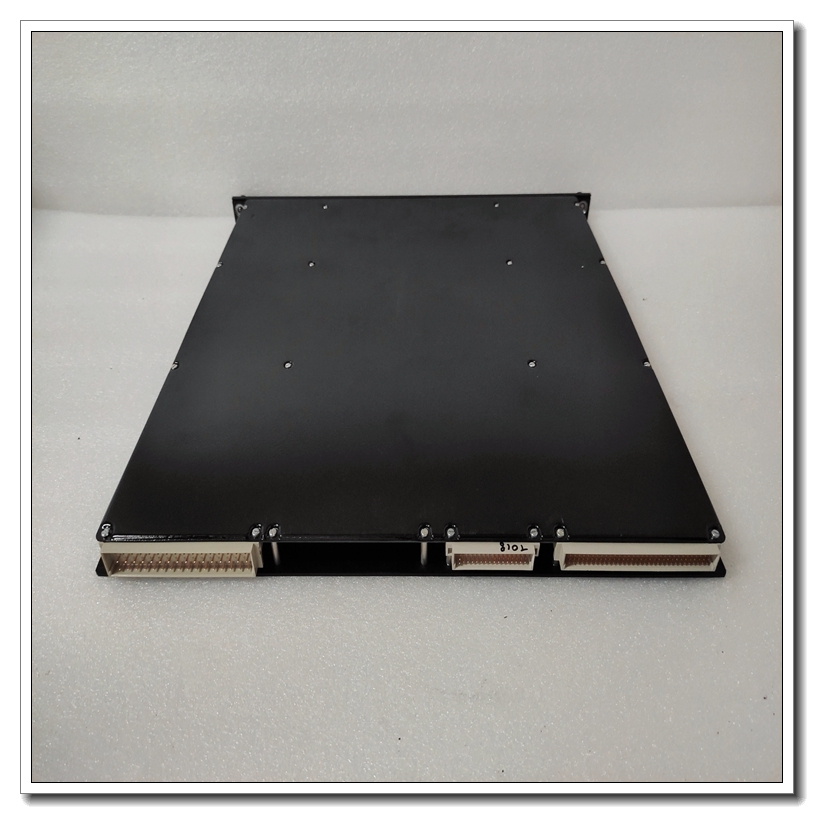 TRICONEX 3805E (13).jpg