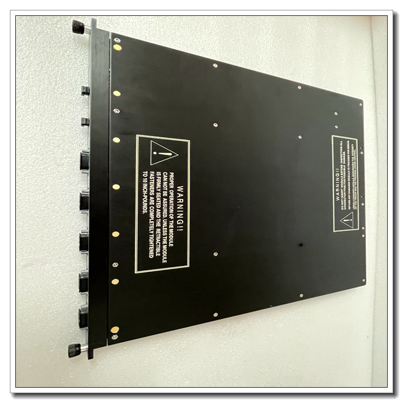 TRICONEX 4352AN (3).jpg