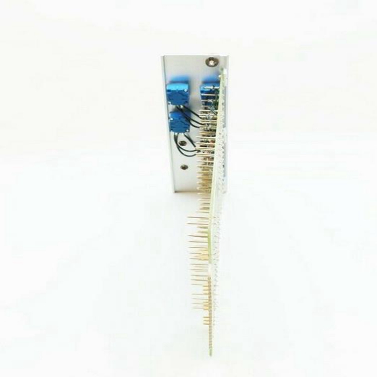 Reliance 103902-15V 3.jpg