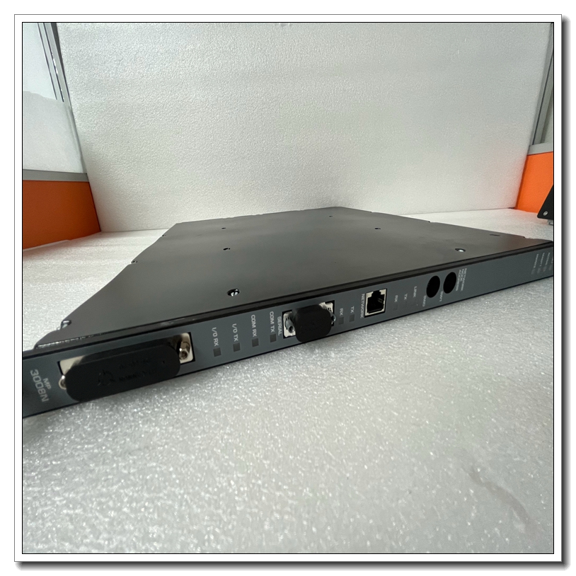 TRICONEX 3008N (2).jpg