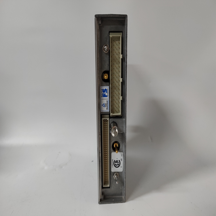 TRICONEX 3351(3).jpg