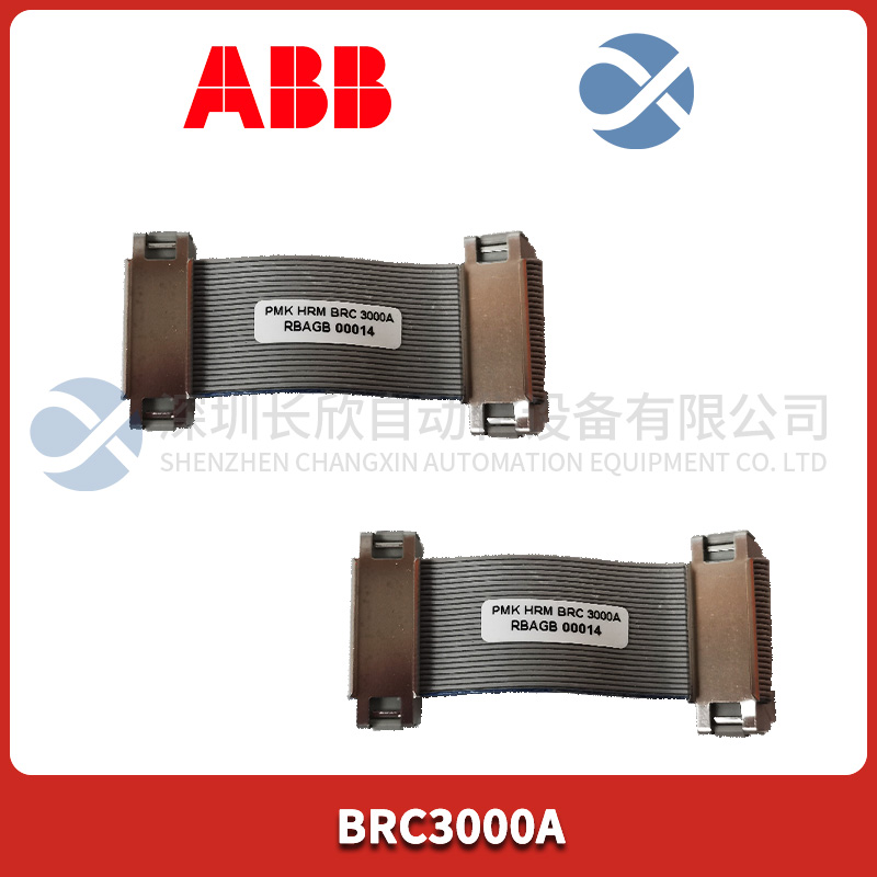 ABB BRC3000A (1).jpg