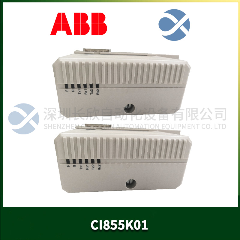 ABB CI855K01 (2).jpg