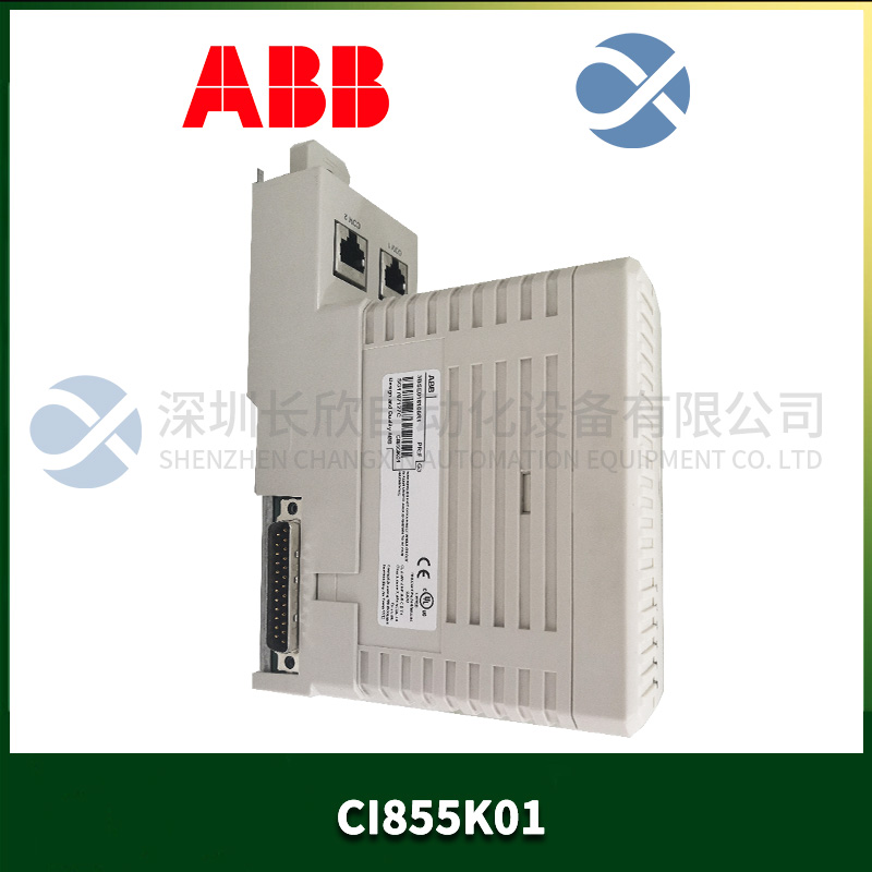 ABB CI855K01 (1).jpg