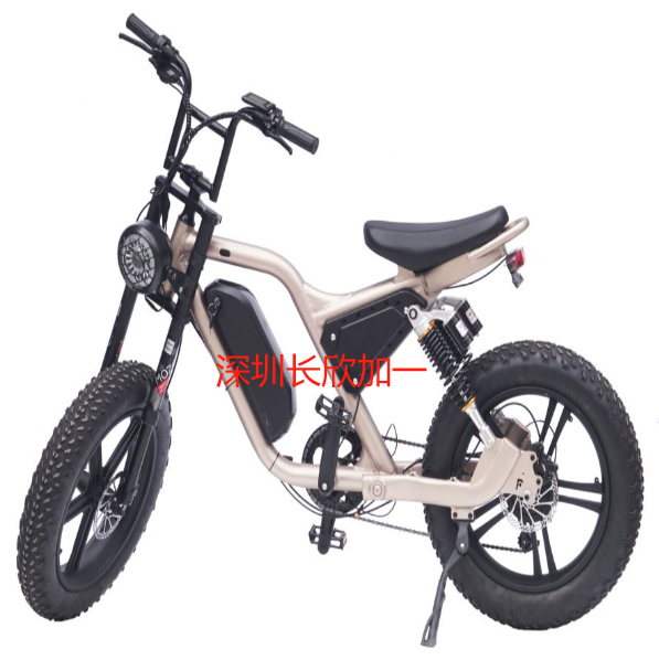 全地形2x2两轮E-B60成人电动山地车