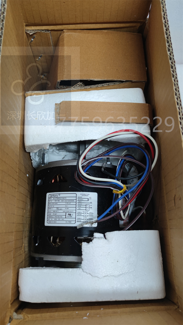 5KCP39PG.周忆.20221212_153211 (2).jpg