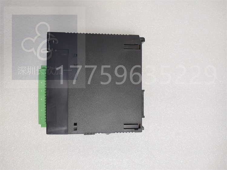IC693TCM302.杜燕.20231014 (3).jpg