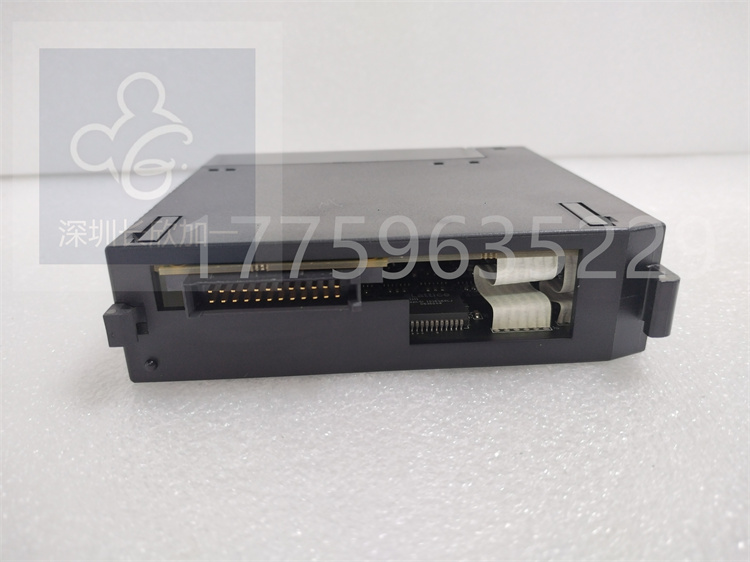 IC693TCM302.杜燕.20231014 (5).jpg