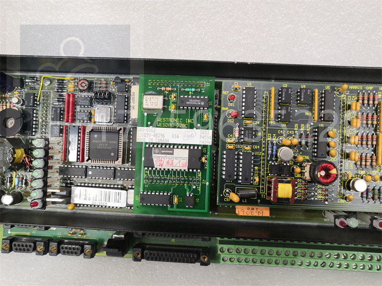 D20C PANEL.20191118_170518 (3).jpg