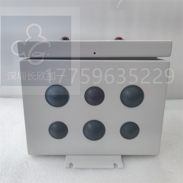 H20CI-1.张云良.20240522_141630 (4).jpg