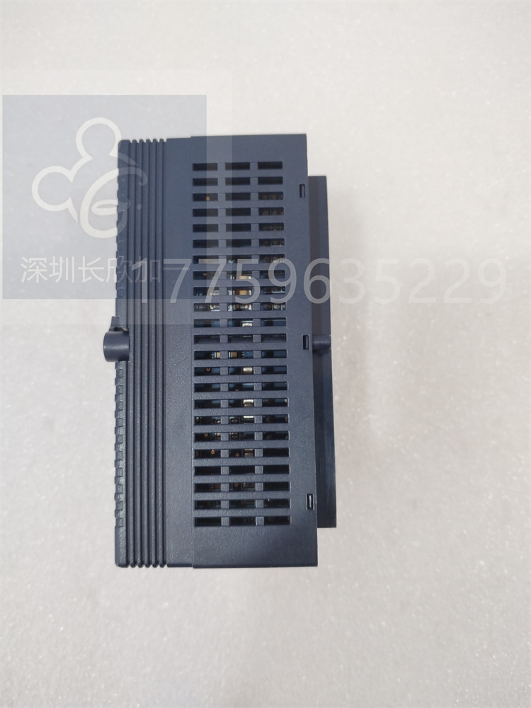 IC200ALG325.白佳乐.20240308 (5).jpg