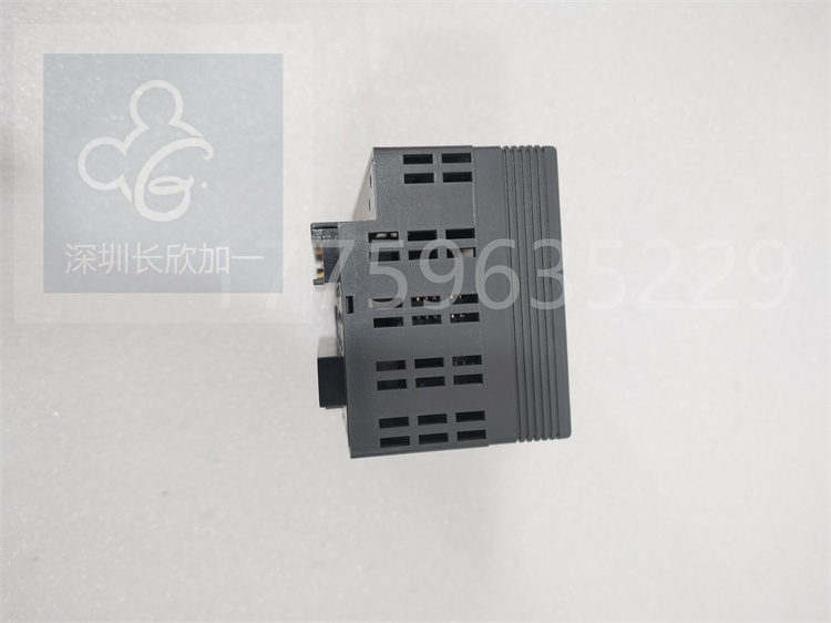 IC200ALG325.白佳乐.20240307 (1).jpg