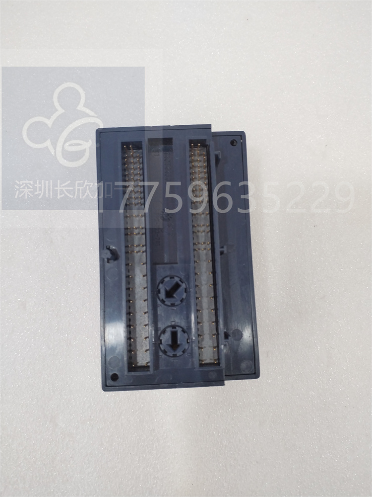 IC200ALG325.白佳乐.20240308 (3).jpg