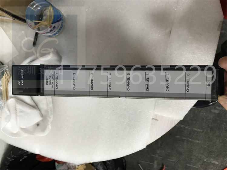 IC697ALG230.张兴建.2021021908445525 (3).jpg