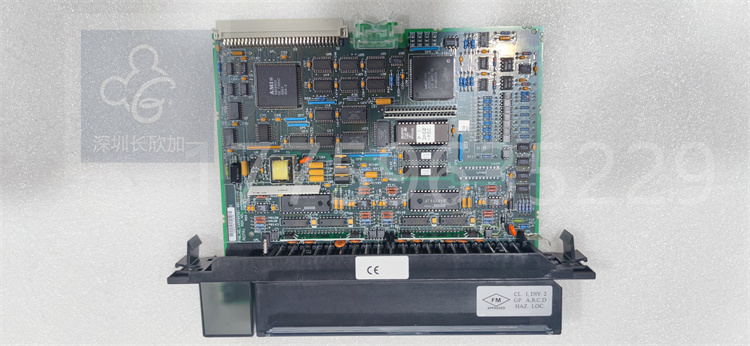 IC697ALG320.何姗姗.20240229_174544 (3).jpg