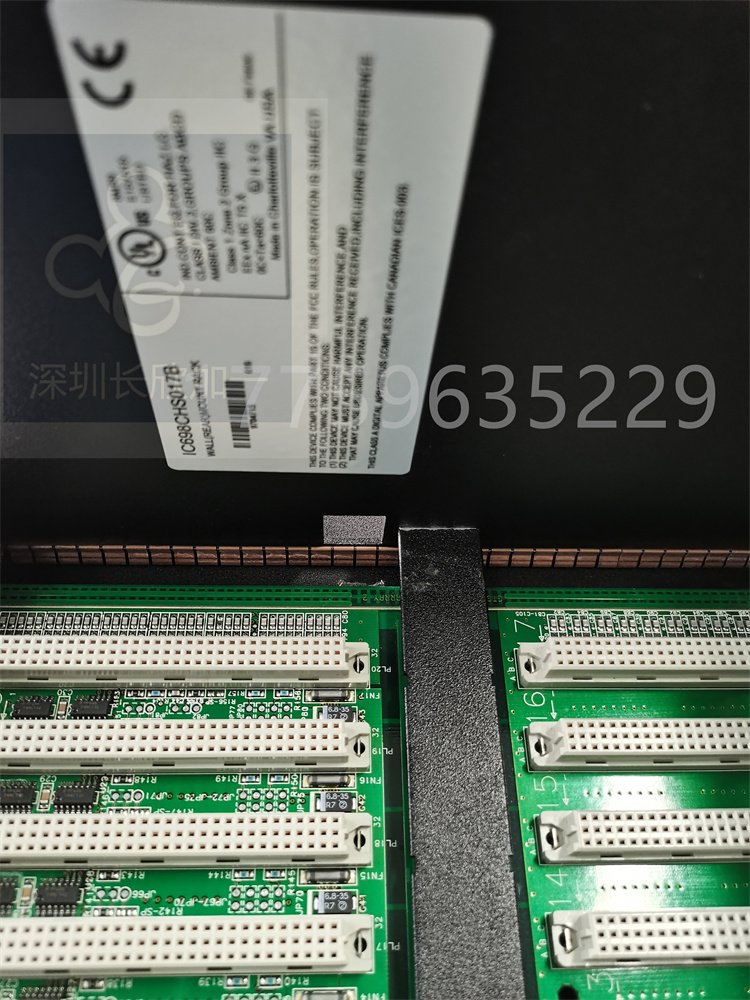 IC698CHS017B.叶送惠.20220513_154833 (15).jpg